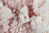 Pink Halite Crystal Plate - Trona, California #130669-1
